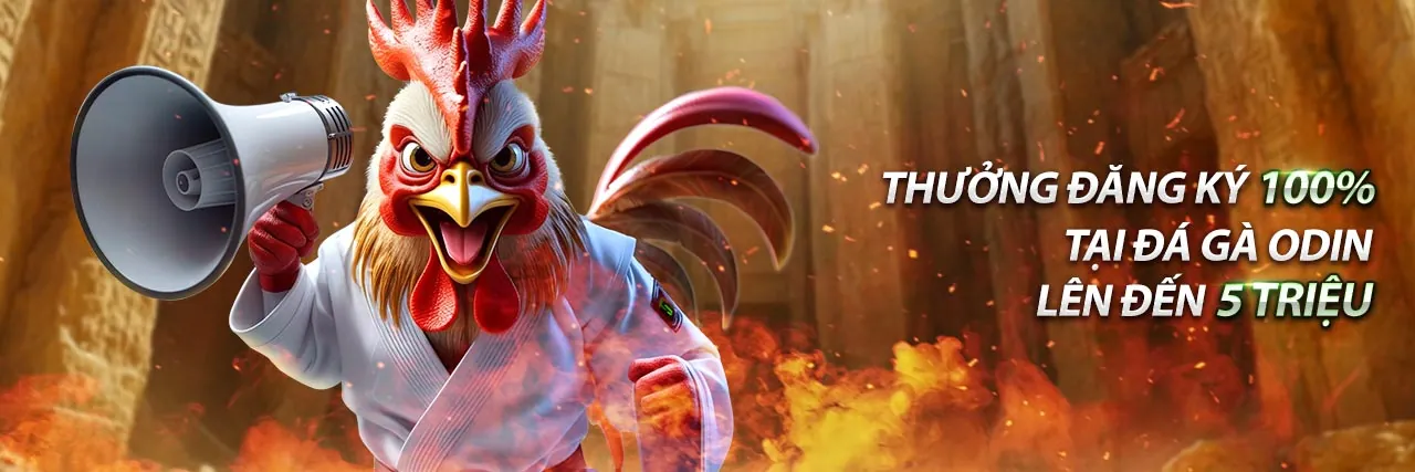 Tin tức w33win mới nhất và các ưu đãi độc quyền